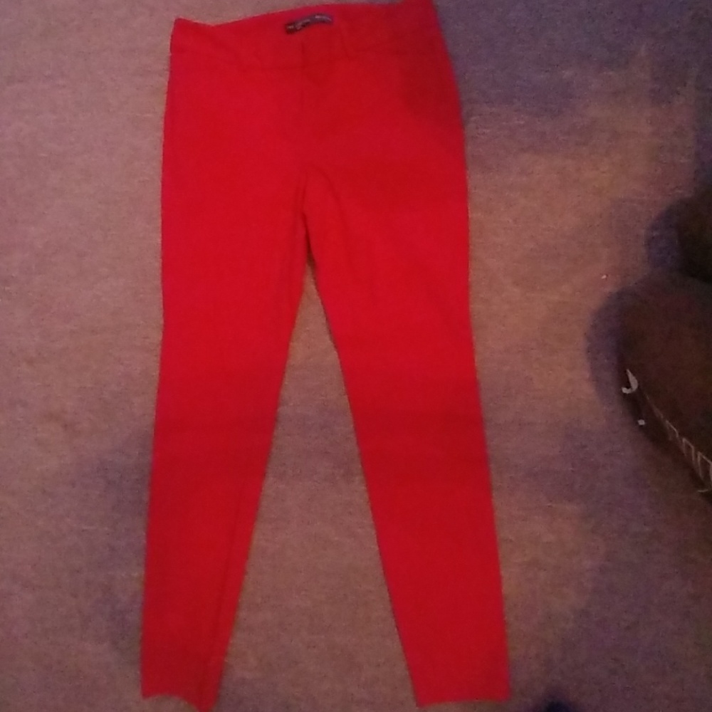 Dress pants